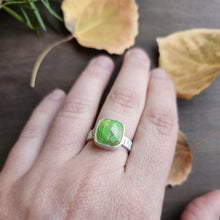 Aspen Birch Ring with Brazilian Turquoise size 7.5